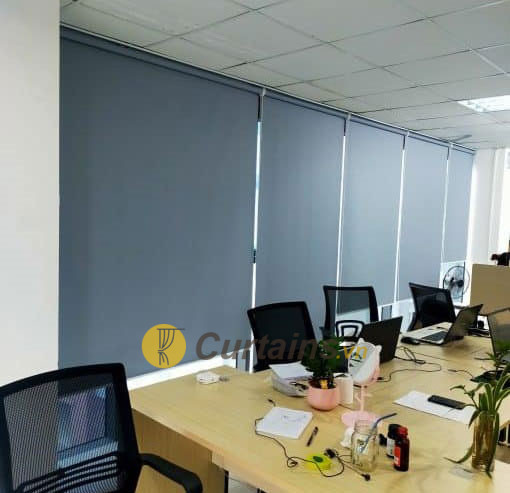 Mẫu rèm cuốn trơn sử dụng nhiều nhất cho văn phòng